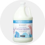 Conditioner